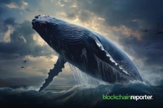 Bold market play with Sol's $52.78 million whales withdrawn from Binance Signal