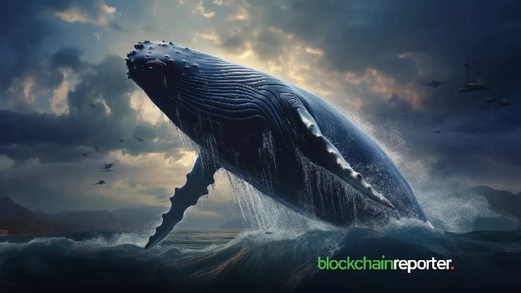 Bold market play with Sol's $52.78 million whales withdrawn from Binance Signal
