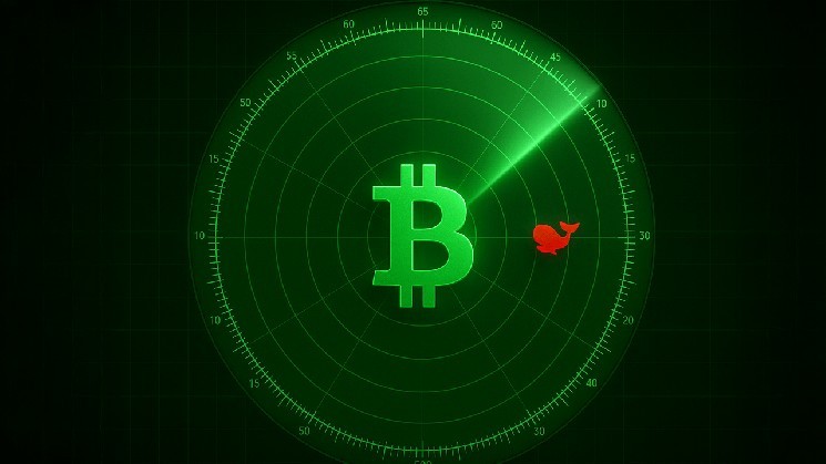 After yesterday's 1,200 BTC shift, another 500 bitcoins have moved