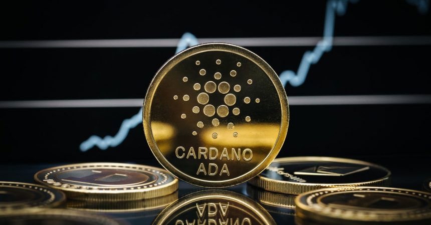 bitcoin btc