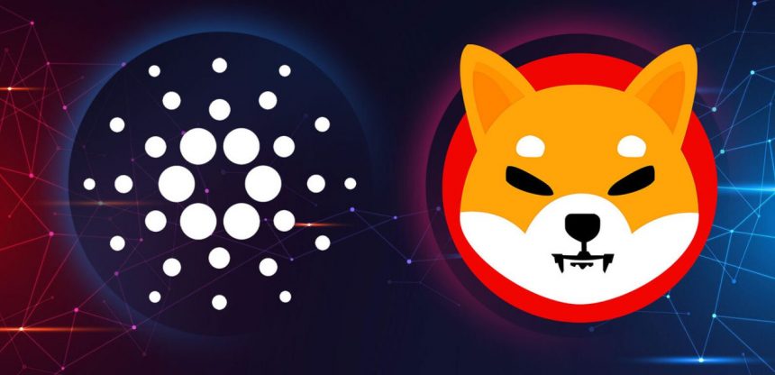 3 coins facing intense market pressure