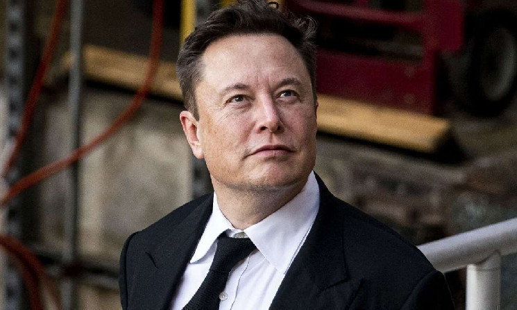 Elon Musk swipes Trump's tariff man