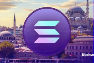 The Solana community, currently dominant in cryptography, gathers in Istanbul