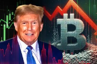 Bitcoin & Stock Plunge; Trump says the sale of market operations is not intentional