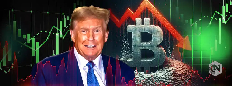 Bitcoin & Stock Plunge; Trump says the sale of market operations is not intentional
