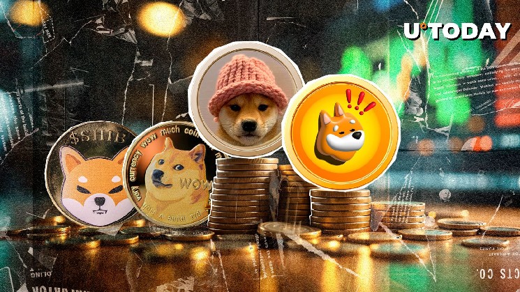 Doge profitable amid the bonk, wif beat shib, and btc boom