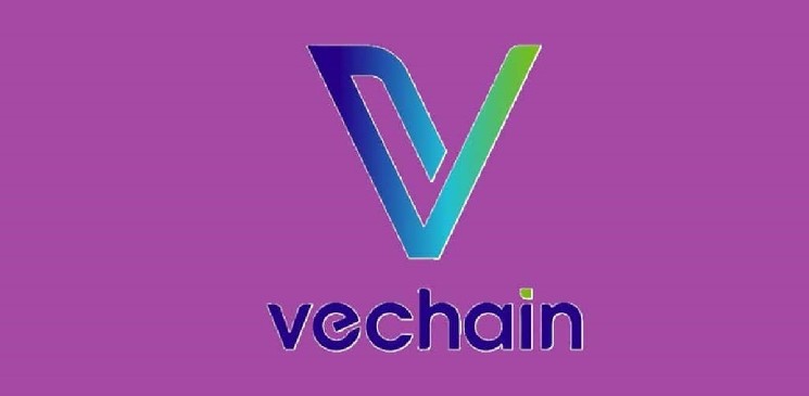 VeChain is building what others promise.