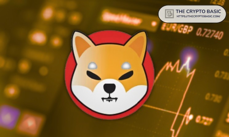 "You can't force people to choose you," Shiba Inu team advocates for growth and improvement