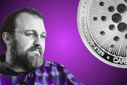 Cardano's Hoskinson refuses $3 million offer for his "valuable" pet pig