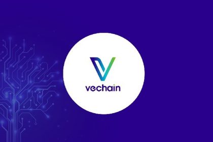 Vechain's innovative Renaissance update is set to be released in July 2025: What's new in $VET?