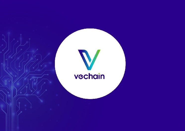Vechain's innovative Renaissance update is set to be released in July 2025: What's new in $VET?