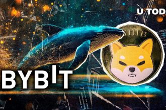 Unknown whales liquidate billions of Shiva islands (Shiva) with Bibit