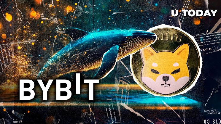 Unknown whales liquidate billions of Shiva islands (Shiva) with Bibit