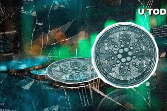 There are 1,700 ADA wallets set up every day this year, according to the data, and more will they be in the future?