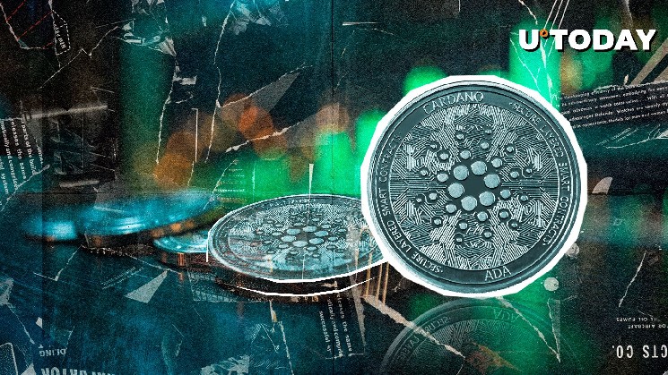 There are 1,700 ADA wallets set up every day this year, according to the data, and more will they be in the future?