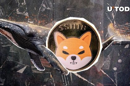 612,300,642,168 Shiv wears land in a mysterious whale's hand