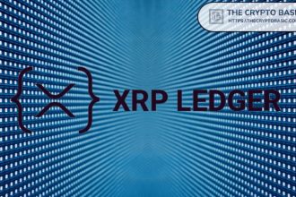 There aren't many new XRPs added as XRPL AMMs see minimal growth and low value token surges