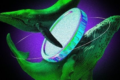 What a whale buys before playing cards dinner