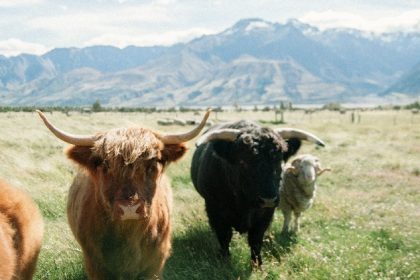 Ether-Bitcoin ratio signal ETH is "very underestimated", but headwinds remain: encryption