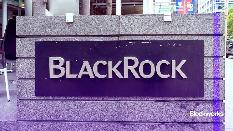 Crypto has "many opportunities": BlackRock COO