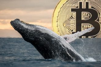 Whale has become very aggressive with Bitcoin - CEO of the analytics company reveals what he expects