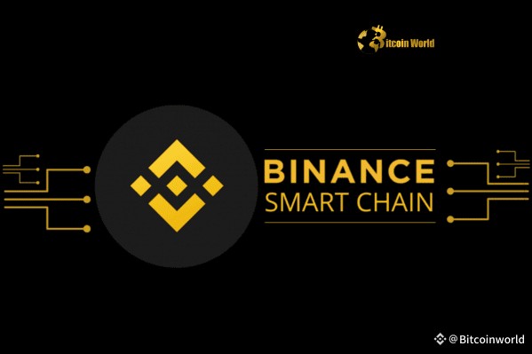 The BSC Foundation boosts the ecosystem with strategic crypto purchasing