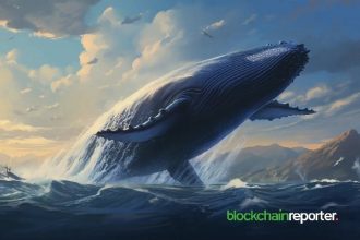 Two Whale Wallets Accumulate Over $9 million Hype Advertising Tokens Through Adjusted Spot Purchases