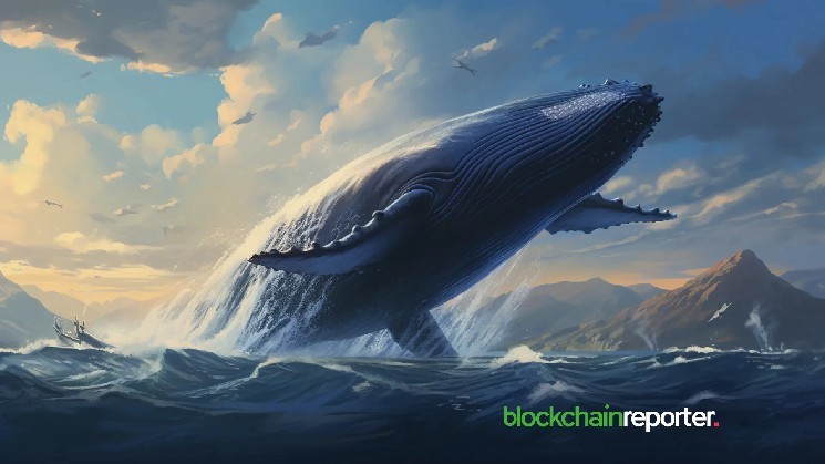 Two Whale Wallets Accumulate Over $9 million Hype Advertising Tokens Through Adjusted Spot Purchases