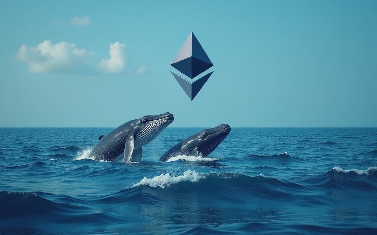 Just as whales accumulate ETH aggressively, the Ethereum Staking Skyrocket