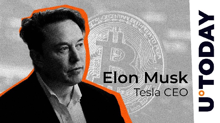 Musk may buy $100 billion worth of Bitcoin, defi veteran