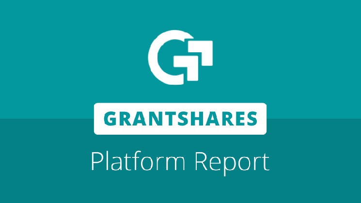 RFPS is successfully mounted on new DAO members and Fund Center Point Travel Grants