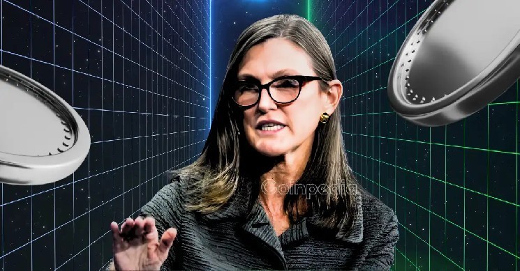 What is arkk? Check out Cathie Wood's top innovation ETF picks