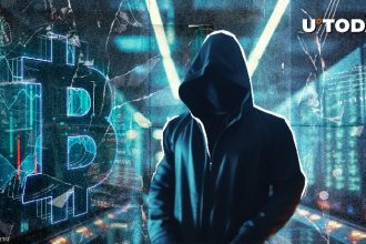 Satoshi's first collaborator suggests creating "Bitcoin Mossad." This is the reason