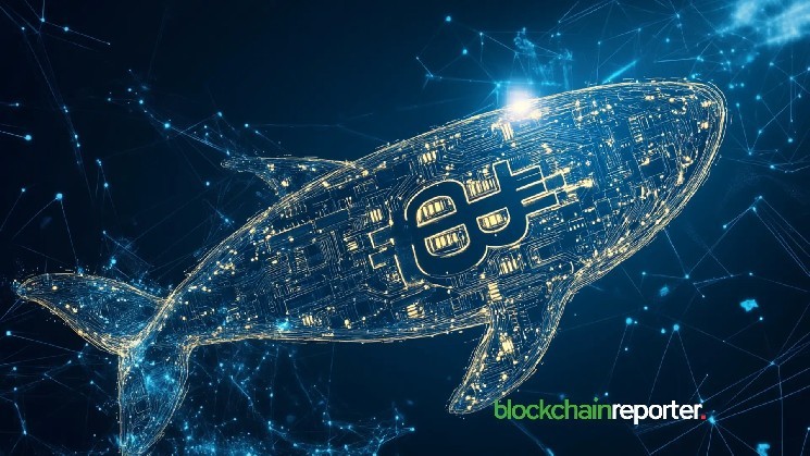 Bitcoin Zilla's Highly Leverage Gambling Backfire Backfire at a Massive $6 million loss