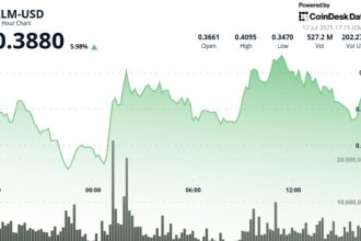 Star performance from XLM posts gains of the top 24 hours per centage between the top 20 ciphers