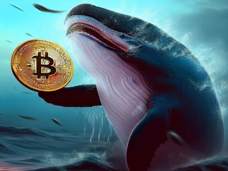 Whale sells Bitcoin, companies snap all sales - what does this mean? Analysts are warnings