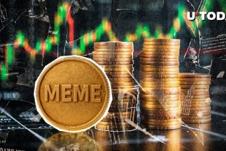 Meme Coin Rocket, here are the top performers