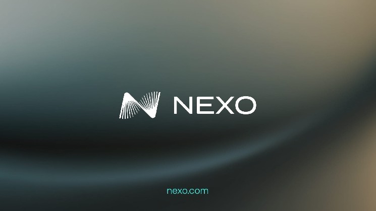 Crypto-assisted borrowing report Nexo increased by 72%