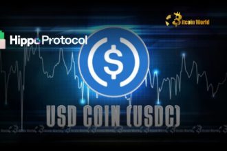 USDC Stablecoin arrives at Hippo Chain Testnet