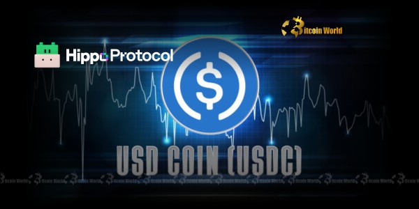 USDC Stablecoin arrives at Hippo Chain Testnet