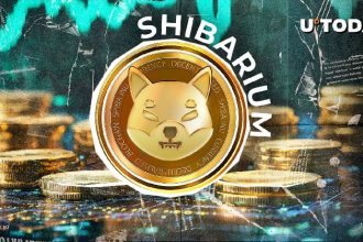 Shaibariums cross huge transaction milestones