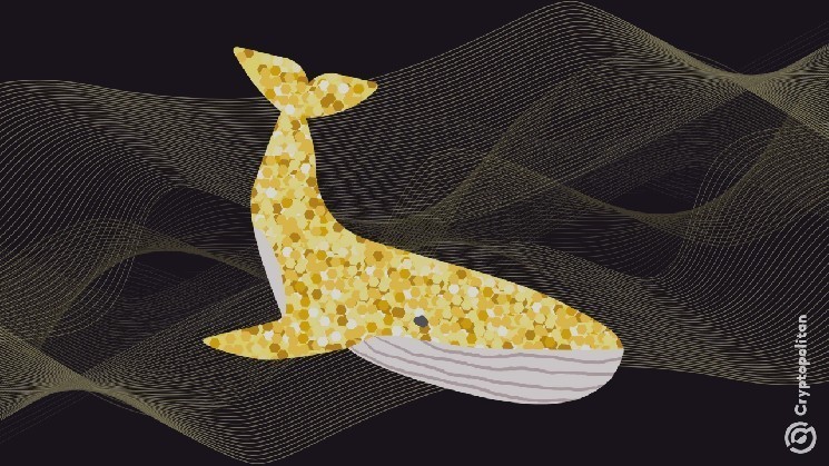 Whale sells 33.5k Ethereum coins for $85 million, but the agency will buy more