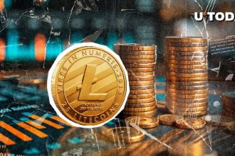 With 105,900,000 litecoin 24 hours, LTC Whale set a new milestone