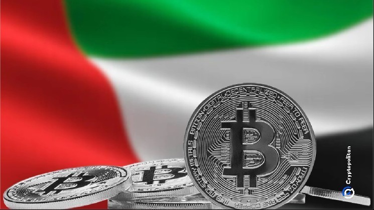 Hat 8 closes Trump family bonds through American Bitcoin