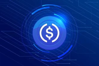 One of the largest stubcoin companies, Circle files important bank applications in the US