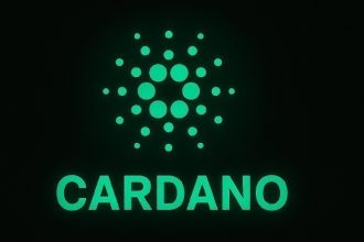 Hoskinson wants Cardano Treasury to work hard.