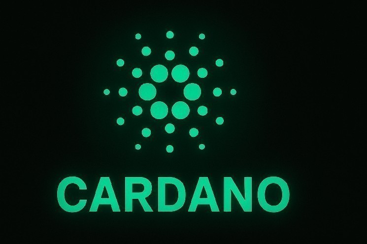 Hoskinson wants Cardano Treasury to work hard.