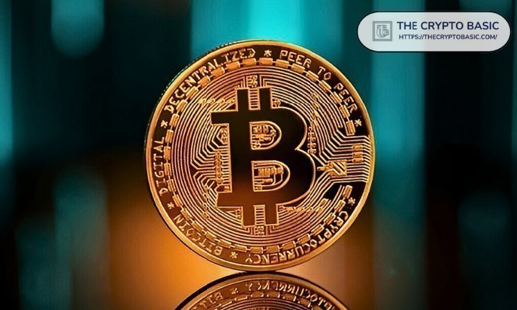 EV Firm Volcon joins Bitcoin Treasury trends with $500 million capital