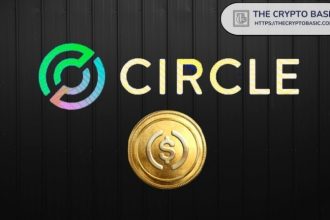 Stablecoins will become the future of Global Money Movement: Circle CEO