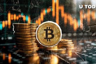 Top Traders Opened 40x BTC Short: But there's a big catch